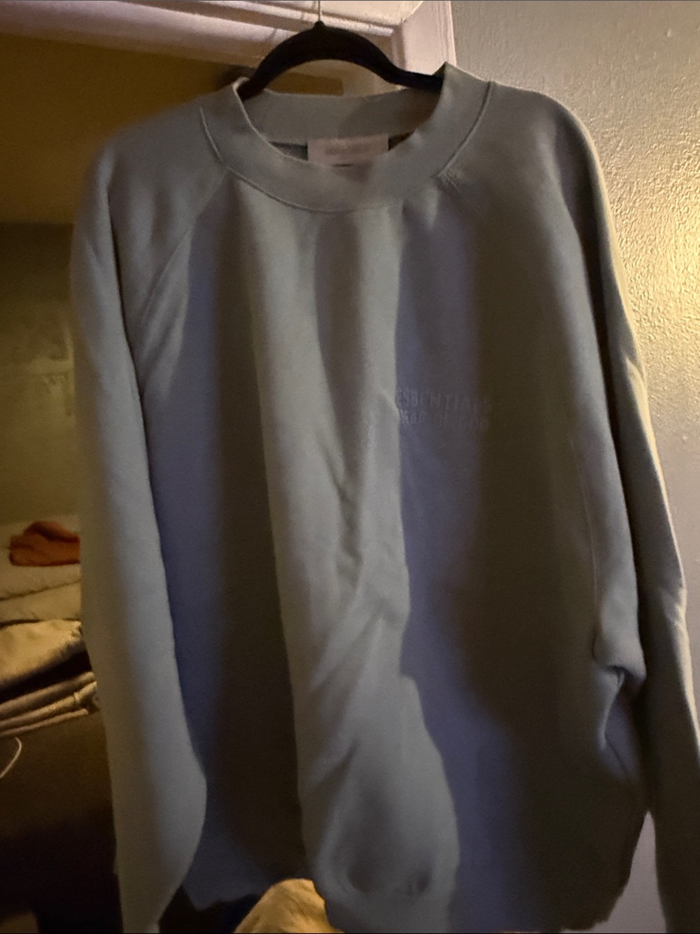 Essentials Crewneck Sweatshirt in Light Blue